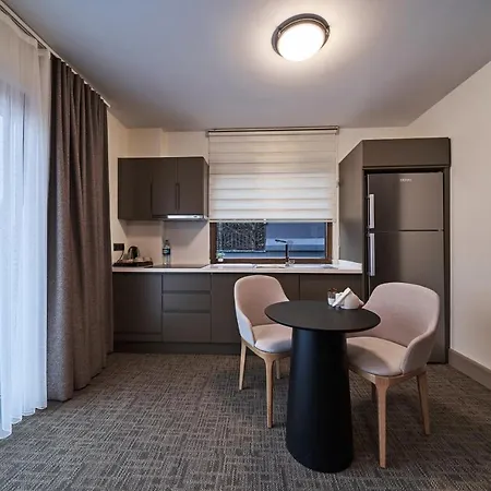 Selini Airport איסטמבול