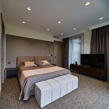 Selini Airport * איסטמבול