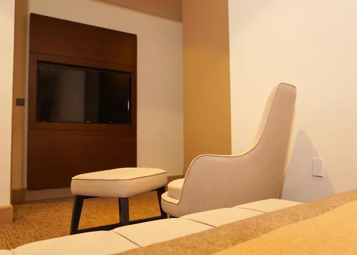 Selini Airport Stambuł