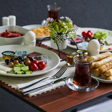 Hotel Selini Airport Istanbulská provincie