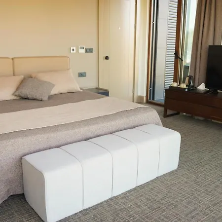 Selini Airport Hotel *