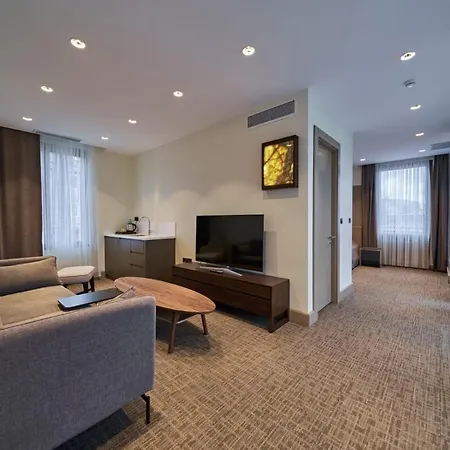 Selini Airport Hotel Istanbulská provincie